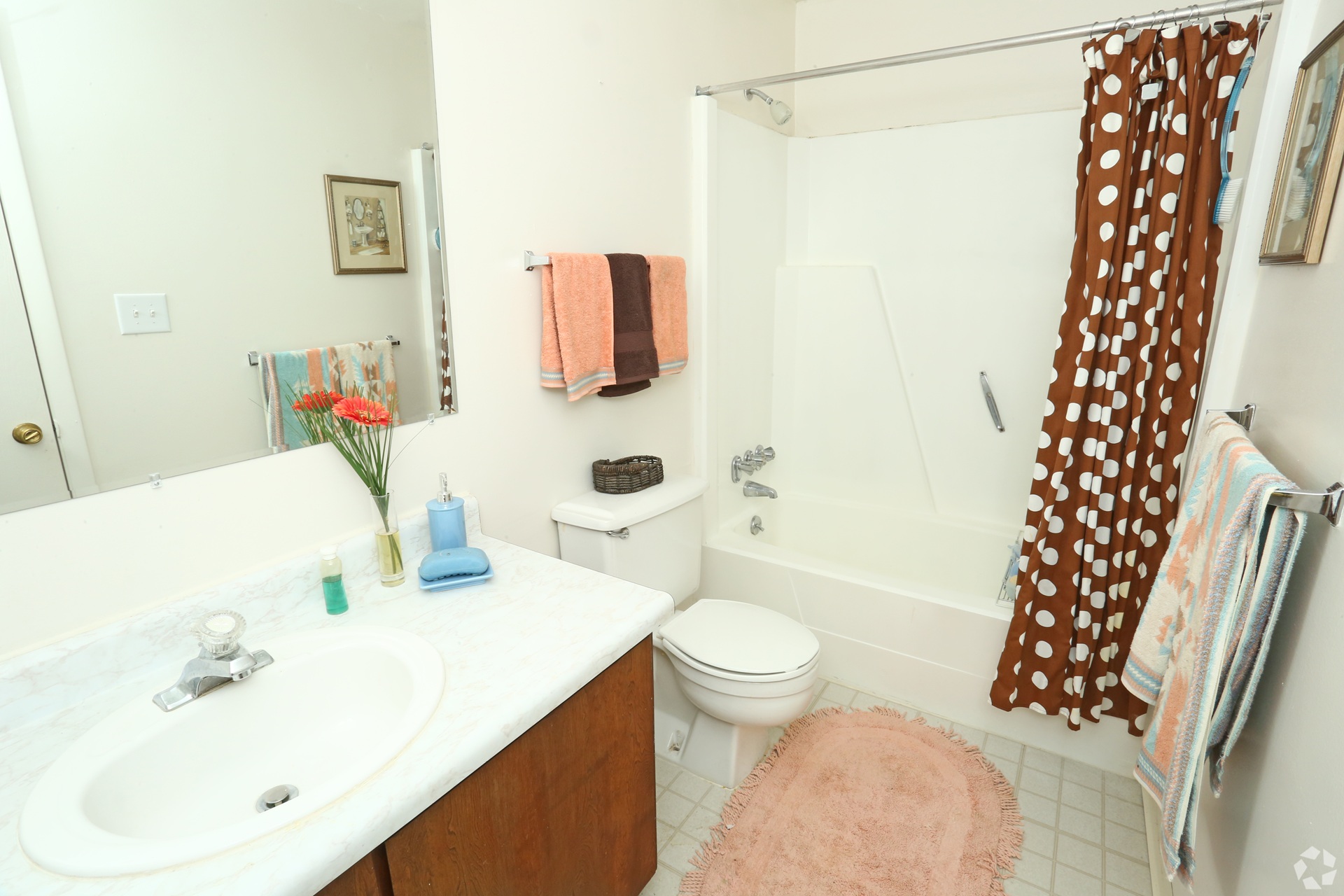 Clovertree Apartments bathroom in Flint Michigan